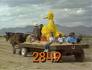 2849.jpg