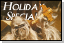 Jedipedia Button Holiday
