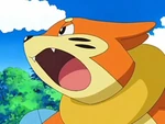 EP554 Buizel