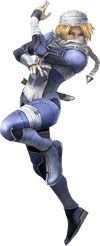 Sheik (Super Smash Bros. Brawl)