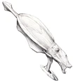 Rune Haako Concept Art.jpg