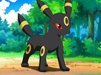 http://images1.wikia.nocookie.net/__cb20090612154316/es.pokemon/images/b/ba/EP554_Umbreon.png