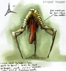 Tripod Hopper