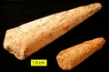 Thumbnail for version as of 02:11, June 14, 2009