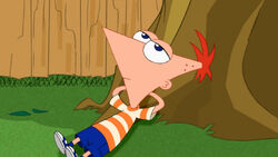 http://images1.wikia.nocookie.net/__cb20090615033802/phineasandferb/images/thumb/0/0f/Phineas2.jpg/250px-Phineas2.jpg