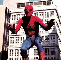 Peter Parker (Earth-730911)