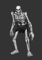 Skeleton nopic.jpg