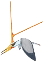 Nyctosaurus DB.jpg