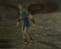Hawk