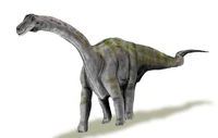 Rapetosaurus BW