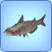 http://images1.wikia.nocookie.net/__cb20090622111531/sims/fr/images/8/8c/Poisson-chat_siamois.jpg