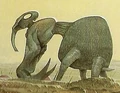 Gelsucker