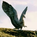 657175-saphira super.jpg