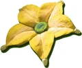 Goldenbud3.jpg