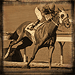 Standard 75x75 collect racehorse eclipse 01