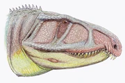Uralosaurus1DB