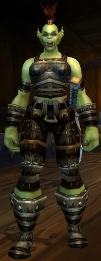 Chief Officer Ograh
