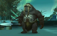 Moa'ki Warrior