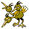 Dodrio plata variocolor