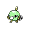 Natu plata variocolor