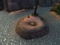 Hatch from lost.jpg