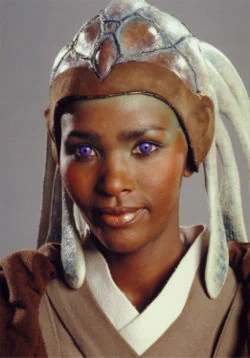 Stass Allie Headshot.jpg