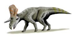 Zuniceratops BW