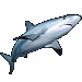 Standard 75x75 collect fish reefshark 01