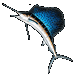 Standard 75x75 collect fish bluemarlin 01