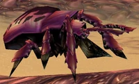 Centipaar Swarmer
