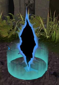 Sheilded portal