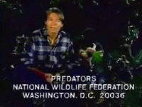 Nwf-denver.jpg