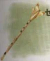Siren's Flute FFIX