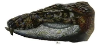 Armadillosuchus