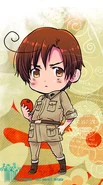 Romano card