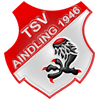 Aindling logo.gif