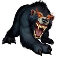 Dire bear.jpg