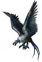 Dire condor