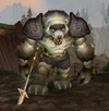 Howling Wolvar Lookout