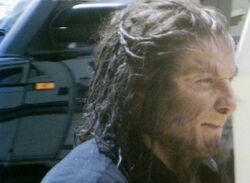 Greyback DH