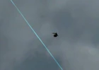 Sniper crow