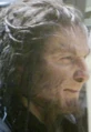 Fenrir Greyback Deathly Hallows.jpg