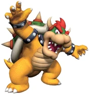 Bowser 15