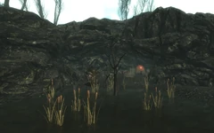 Ruzka's Lair
