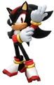 Shadow 21