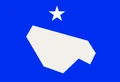 Bandera Naguas.PNG