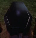 Felisa howards coffin.jpg