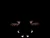 CRE Mothman sml