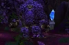 Elder Brightleaf