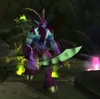 Zandras